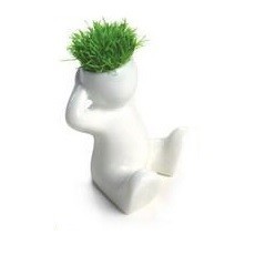 小草娃娃 (8个)