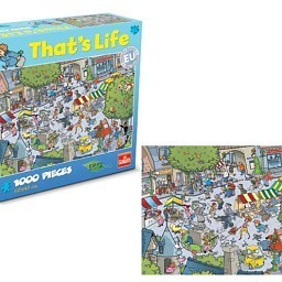 That&rsquo;s Life 拼图 - 乡村村庄, 1000片 (1个)
