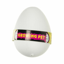 1655219519